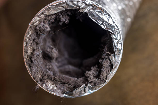 Best Air Duct Cleaning Near Me  in Evansville, WY